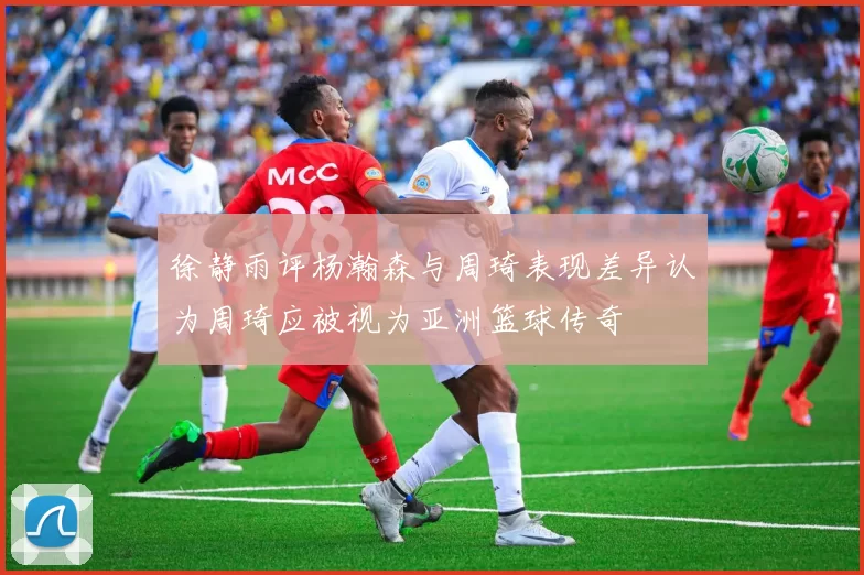 徐静雨评杨瀚森与周琦表现差异认为周琦应被视为亚洲篮球传奇